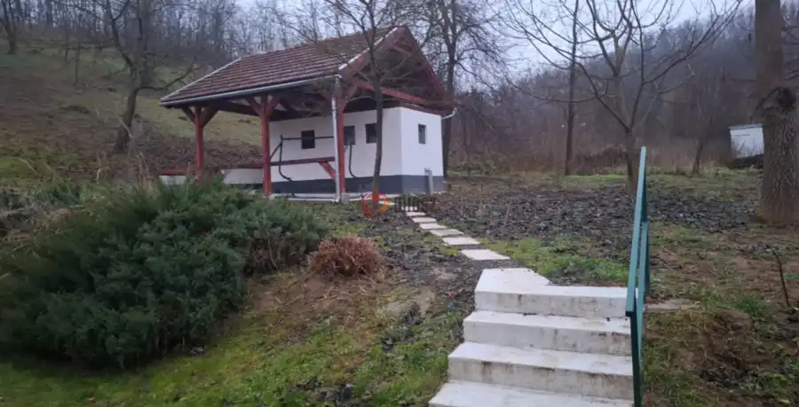 Albérlet, kiadó házrész, Tolmács