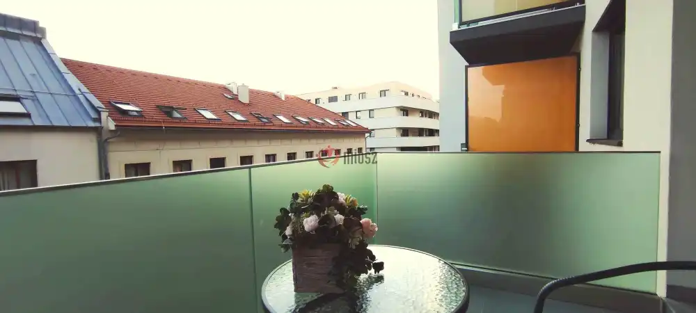 Budapest, IX. kerület - Rehabilitációs terület