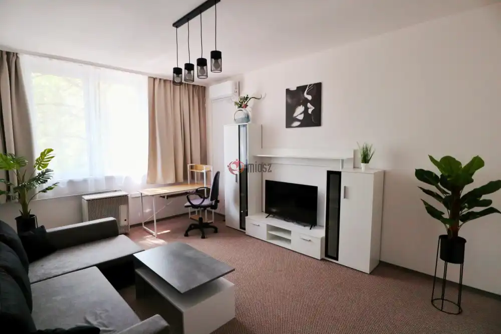 Csongrád megye - Szeged