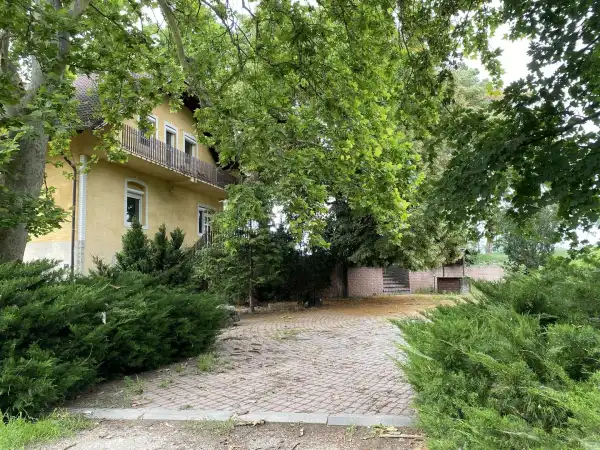 Kiadó családi ház, Dabas 10 szoba 280 m² 600 E Ft/hó