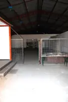 Pest megye - Albertirsa