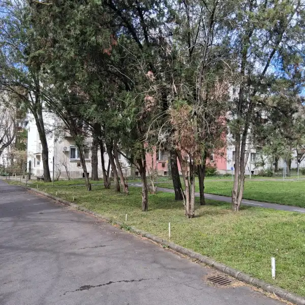 Kiadó ingatlan, Békéscsaba 1 szoba 39 m² 80 E Ft/hó