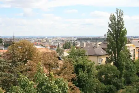 kiadó ingatlan, Budapest, II. kerület