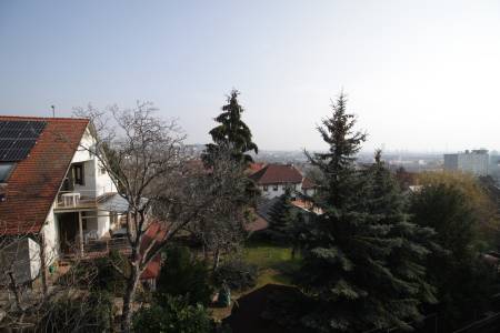 kiadó ingatlan, Budapest, XI. kerület