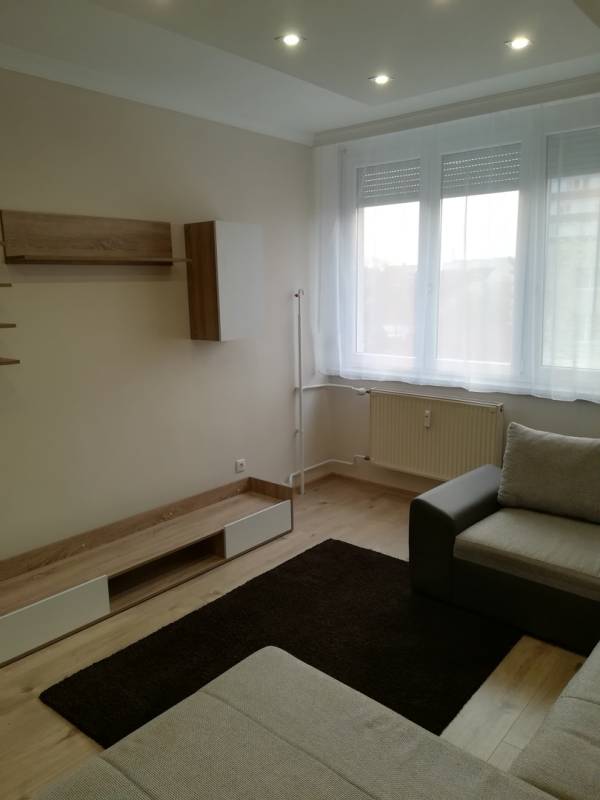 kiadó ingatlan, Nyíregyháza