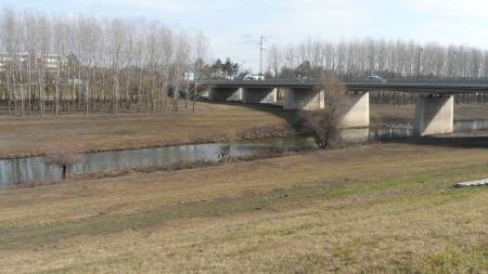 kiadó ingatlan, Szolnok