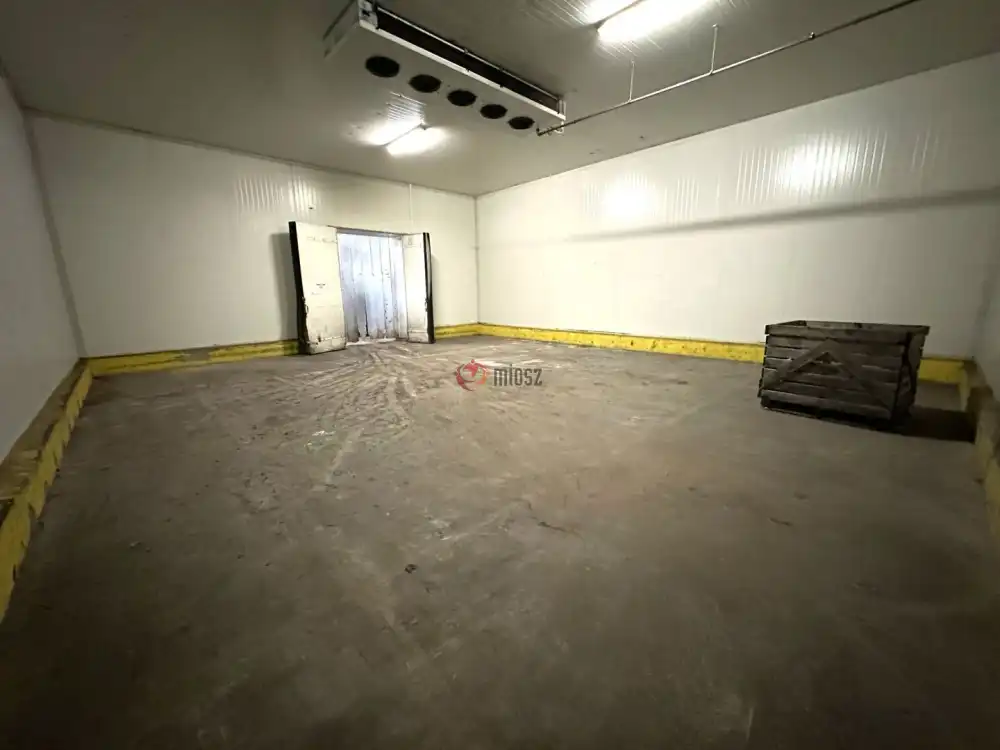 Csongrád megye - Szeged