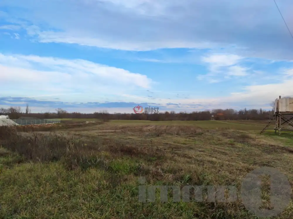 Tolna megye - Dunaszentgyörgy