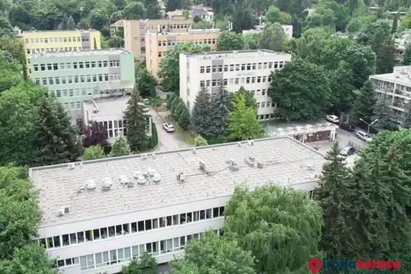 Kiadó iroda, Budapest, II. kerület 14 szoba 500 m² 1.95 M Ft/hó