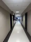 Budapest, VIII. kerület - Józsefváros – Ganznegyed