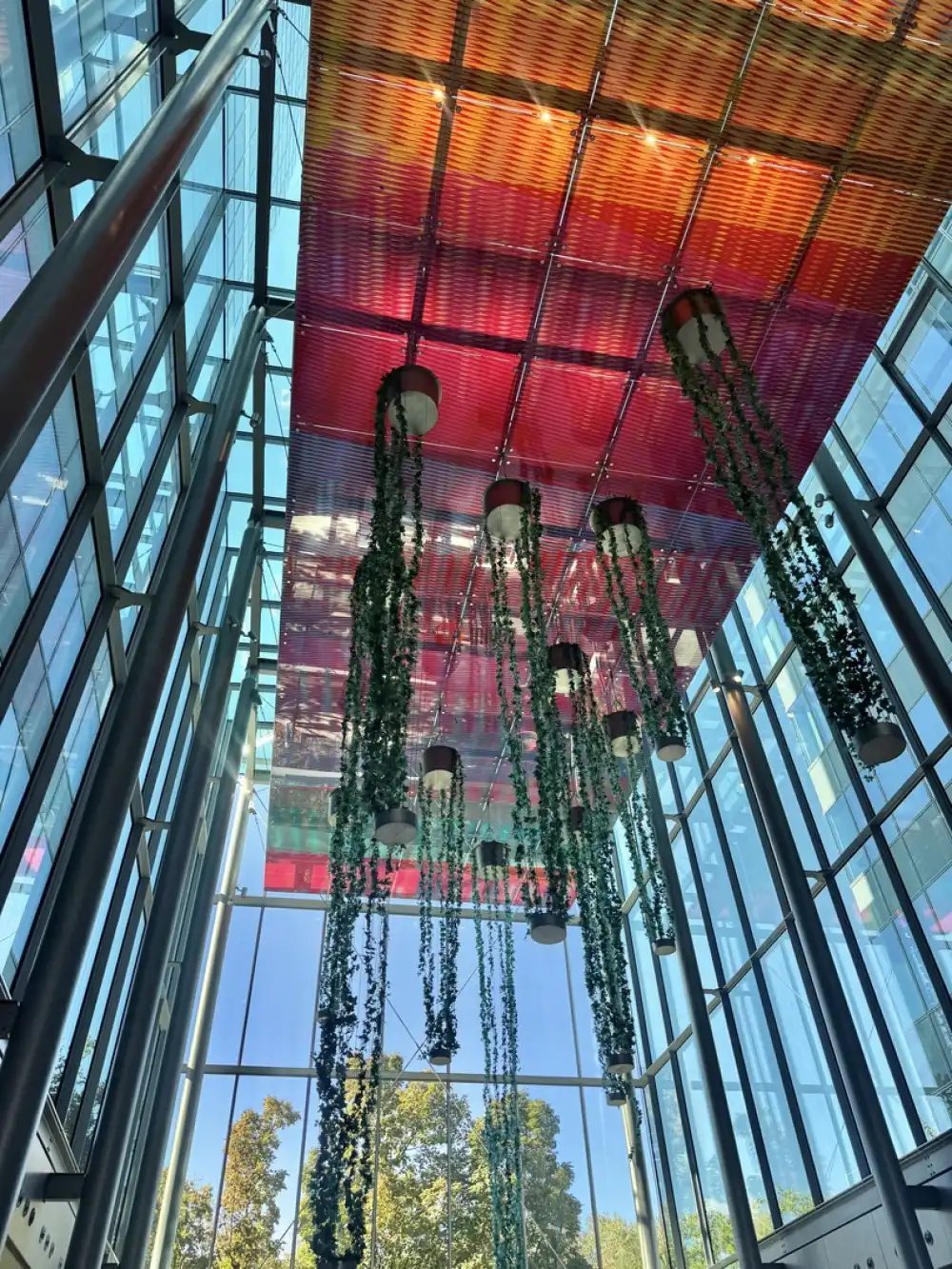 Budapest, XIII. kerület - Vizafogó