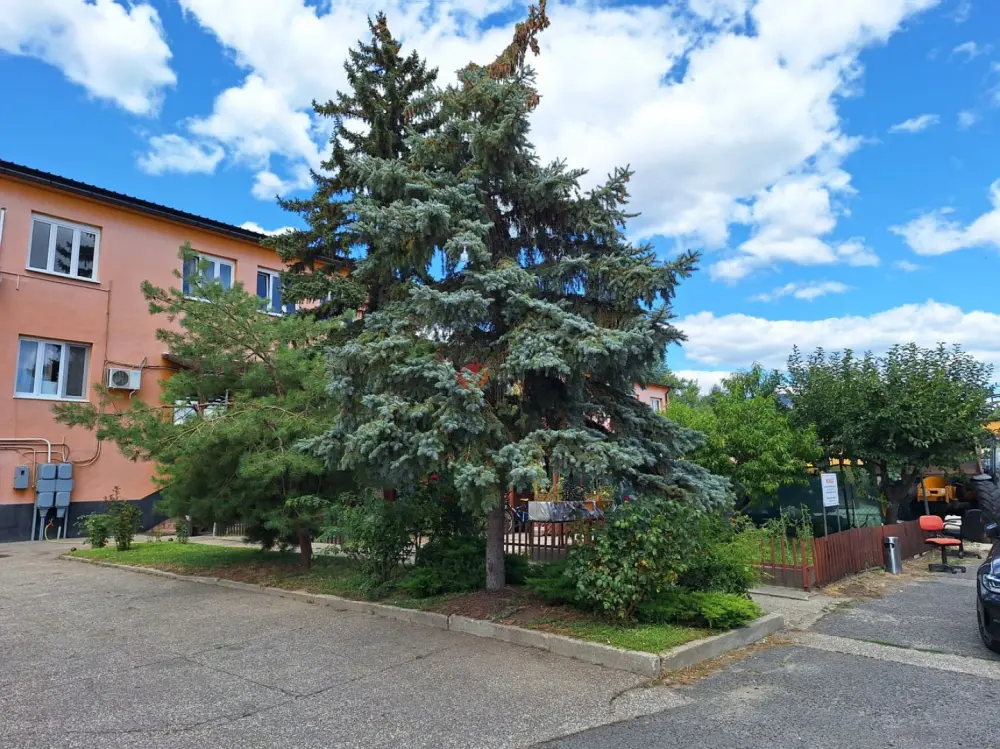 Pest megye - Solymár