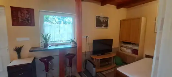 Kiadó újszerű ingatlan, Nagykozár 1 szoba 25 m² 110 E Ft/hó