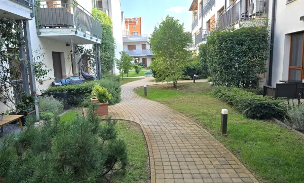 Kiadó újszerű ingatlan, Pécs 1 szoba 32 m² 250 E Ft/hó